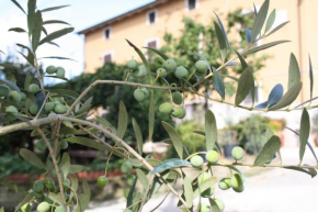 B&B AL FRANTOIO